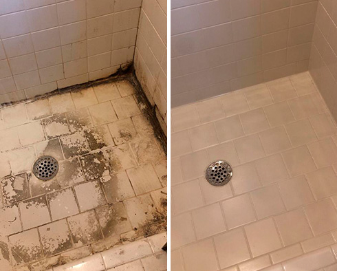 Shower Restored by Our Tile and Grout Cleaners in Tacoma, WA